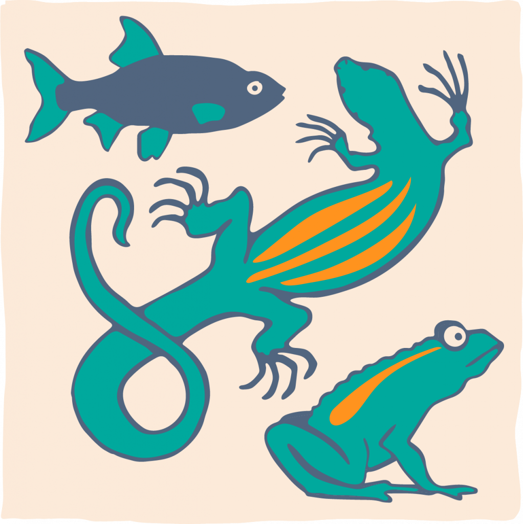 Reptielen, amfibieën en vissen